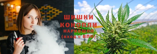 дмт Алзамай