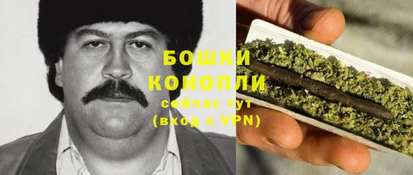 гидра Алексин