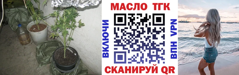 Купить где  Агидель  ТГК концентрат 