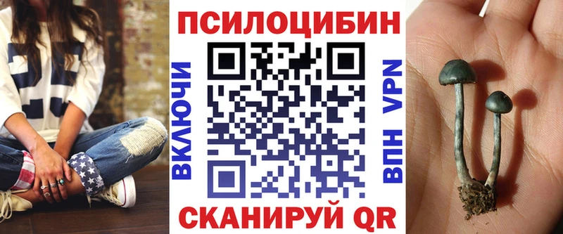 Купить где Агидель Галлюциногенные грибы GOLDEN TEACHER